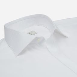 Shirt  textures  white cotton plain, collar style  semi-spread collar - Image 2