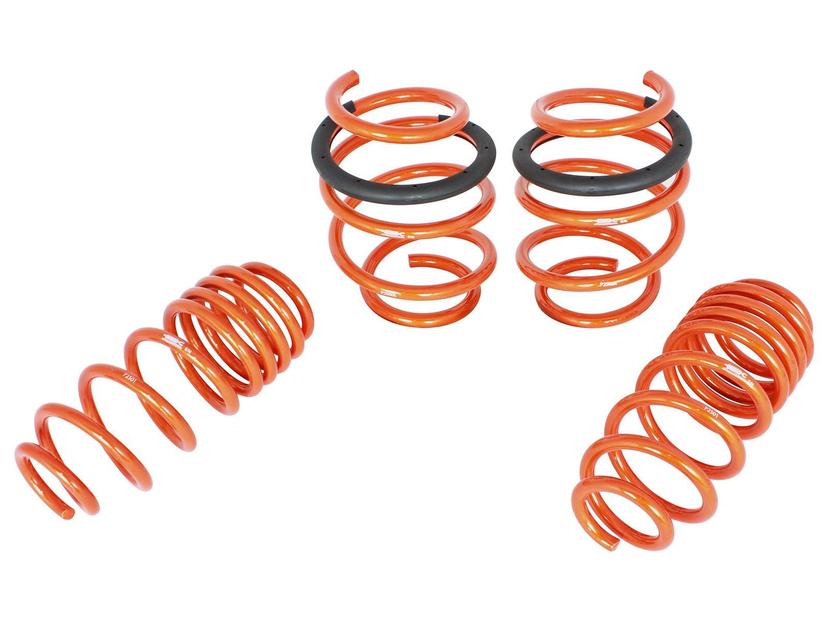 AFE 410-701001-N Control Lowering Springs