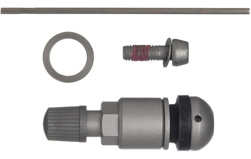SCHRADER 20037 TPMS Service Pack Silver Insert fits Audi BMW Hyundai Kia Mercedes Porsche VW, single unit