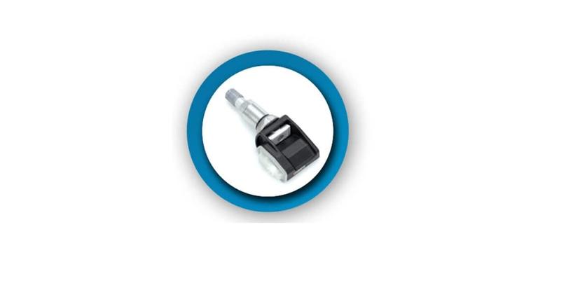 SCHRADER 29129 The Main Resource Aluminium Clamp-in Variabl