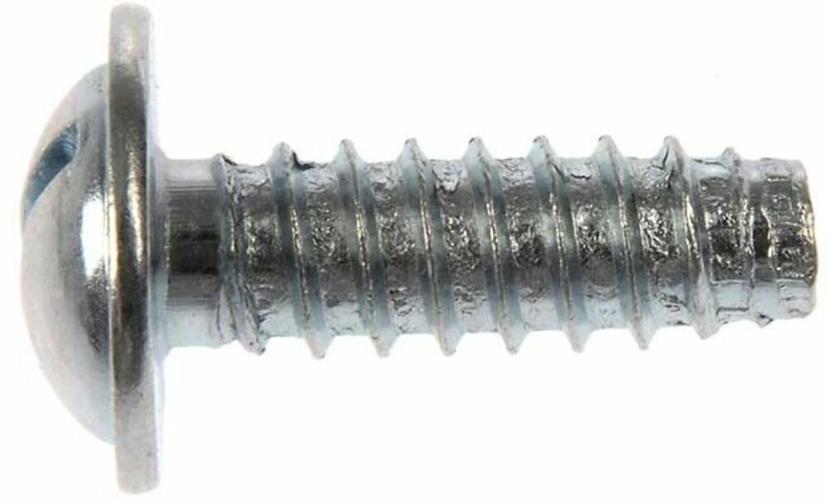 DORMAN 02405 License Plate Fasteners-1/4 In. (No. 14) x 3/4 In.