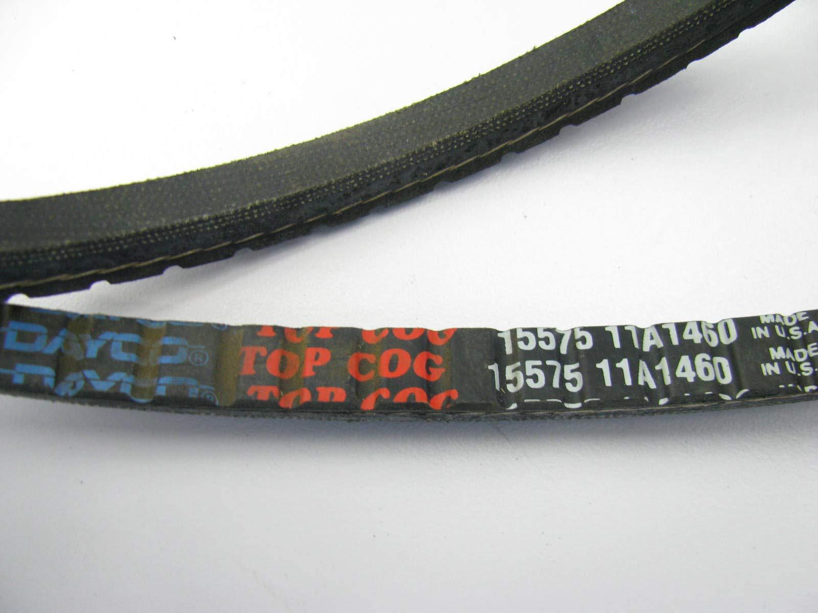 DAYCO 15575 FAN BELTS - High quality product image showing DAYCO 15575 FAN BELTS details and features