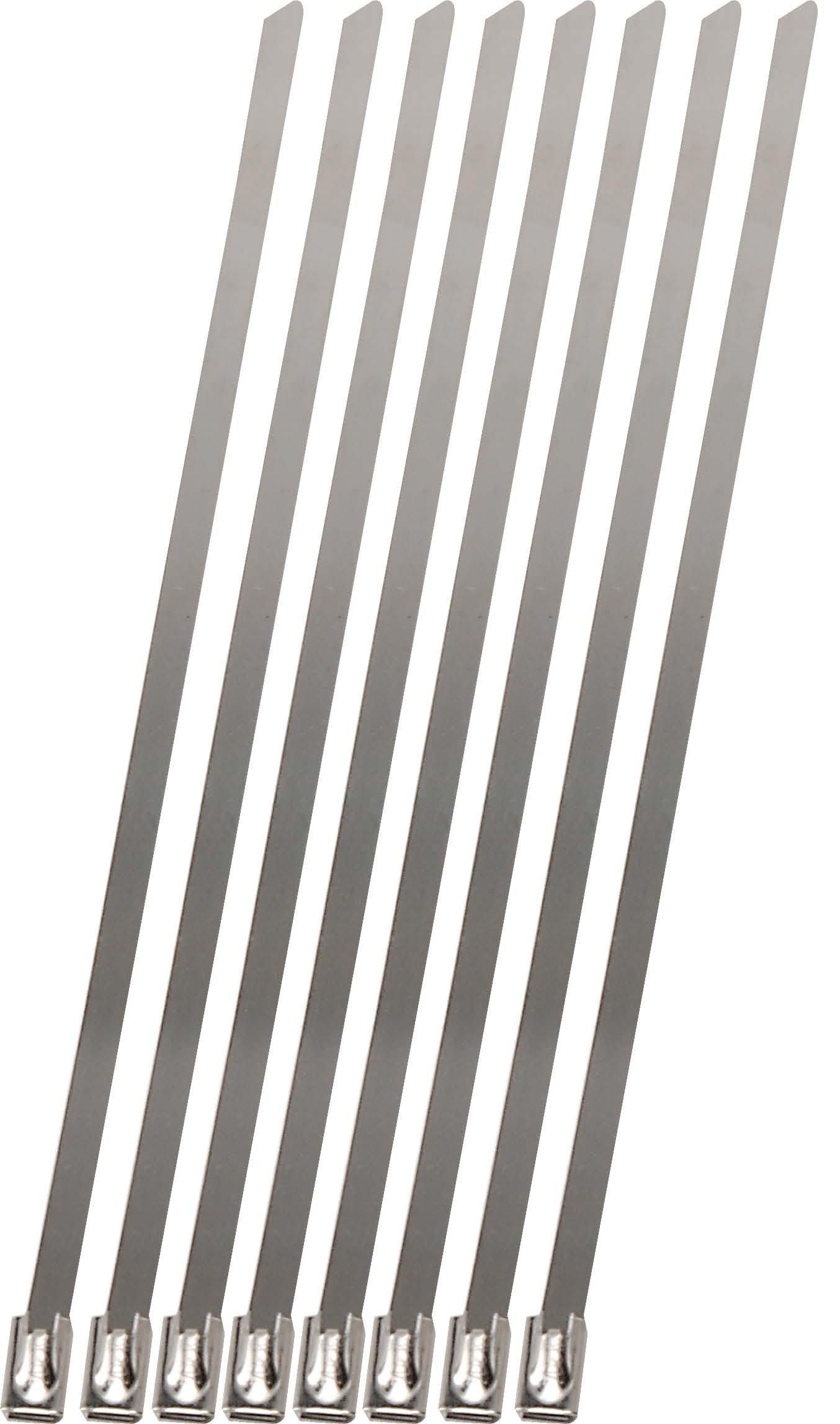 DESIGN ENG 10201 08-Inch Locking Ties, 8 Pack, Silver - High quality product image showing DESIGN ENG 10201 08-Inch Locking Ties, 8 Pack, Silver details and features