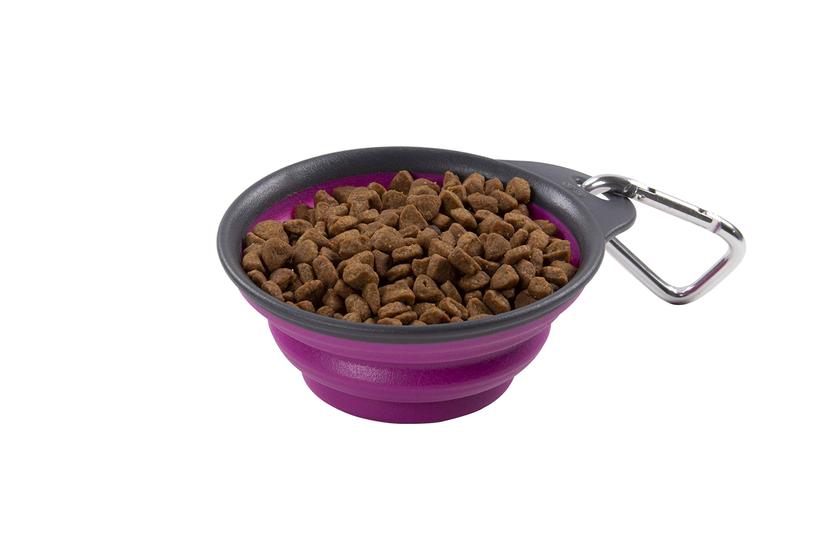 DEXAS PW2004322405 Pets Collapsible Travel Cup, Small/1 Cup Capacity, Fuchsia
