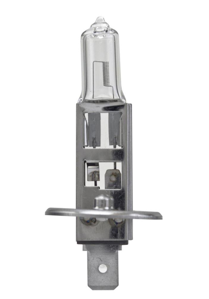 HELLA 002089541 BULB H1 12V 55W P14.5S T2.5 +50, H1 Bulb; Halogen; 55 Watt; 12 Volt; White Beam Color; 1700 Lumens; Single - The Twister Group Tools product