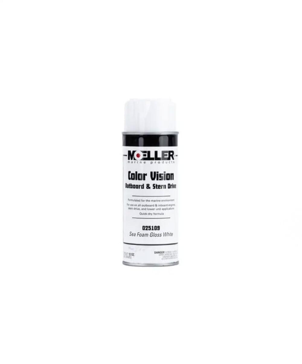 MOELLER 025109 Color Vision Paint Color: Sea Foam Gloss White - High quality product image showing MOELLER 025109 Color Vision Paint Color: Sea Foam Gloss White details and features