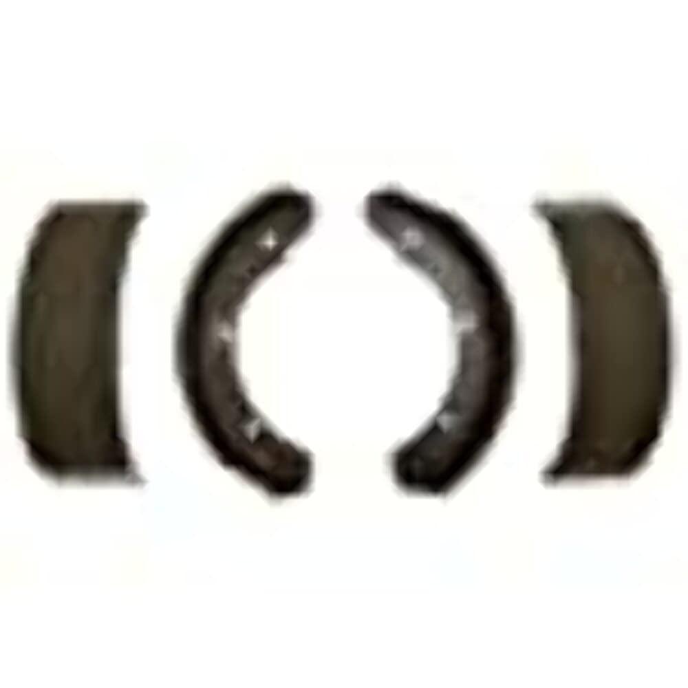 RAYBESTOS 1050PG Professional Grade Brake Shoe Set - Product image