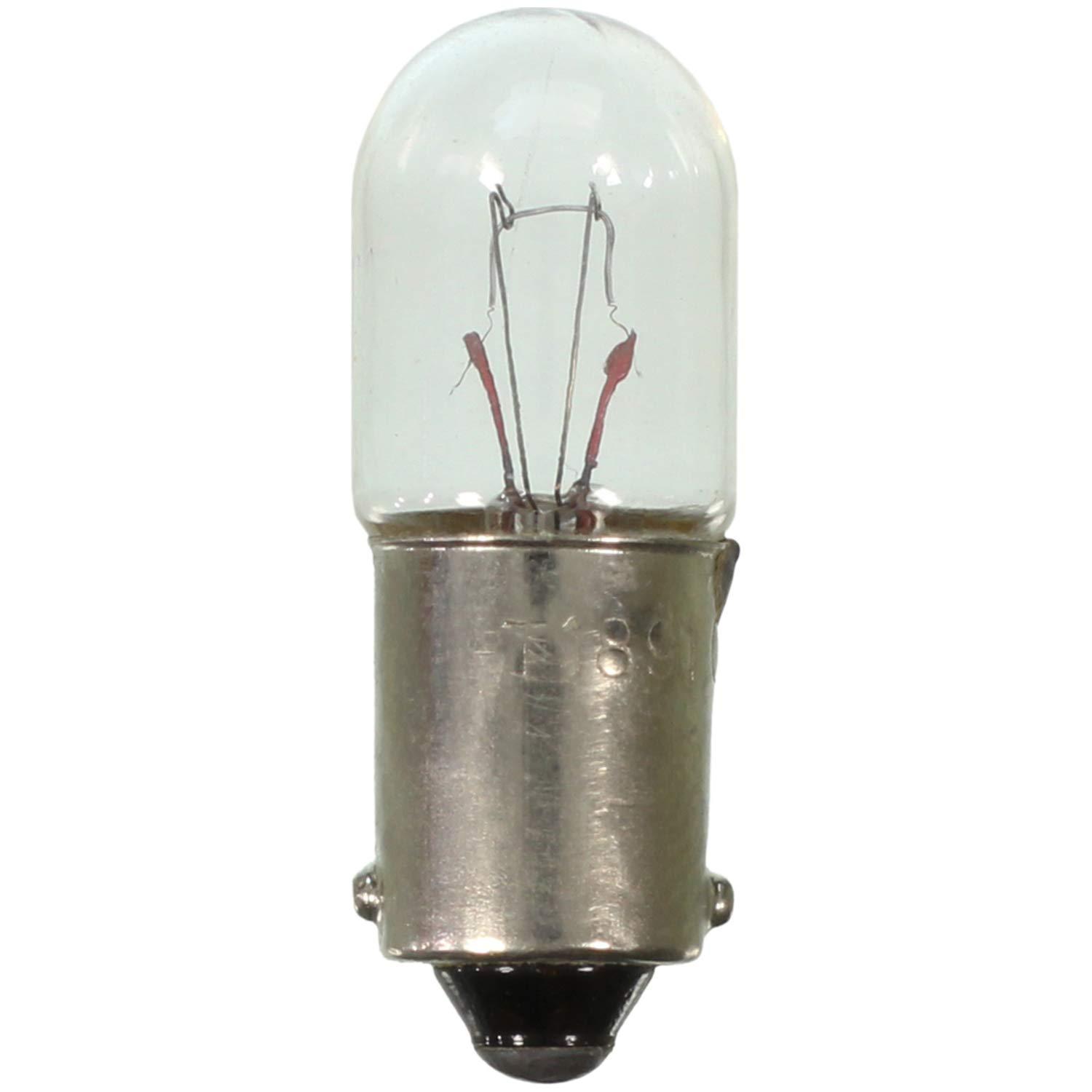 WAGNER 1891 Lighting Standard Multi-Purpose Light Bulb (Case of 10) - High quality product image showing WAGNER 1891 Lighting Standard Multi-Purpose Light Bulb (Case of 10) details and features