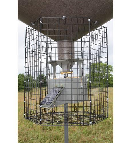 BOSS BUCK BB-1VC Varmint Cage Large Deluxe Round - High quality product image showing BOSS BUCK BB-1VC Varmint Cage Large Deluxe Round details and features