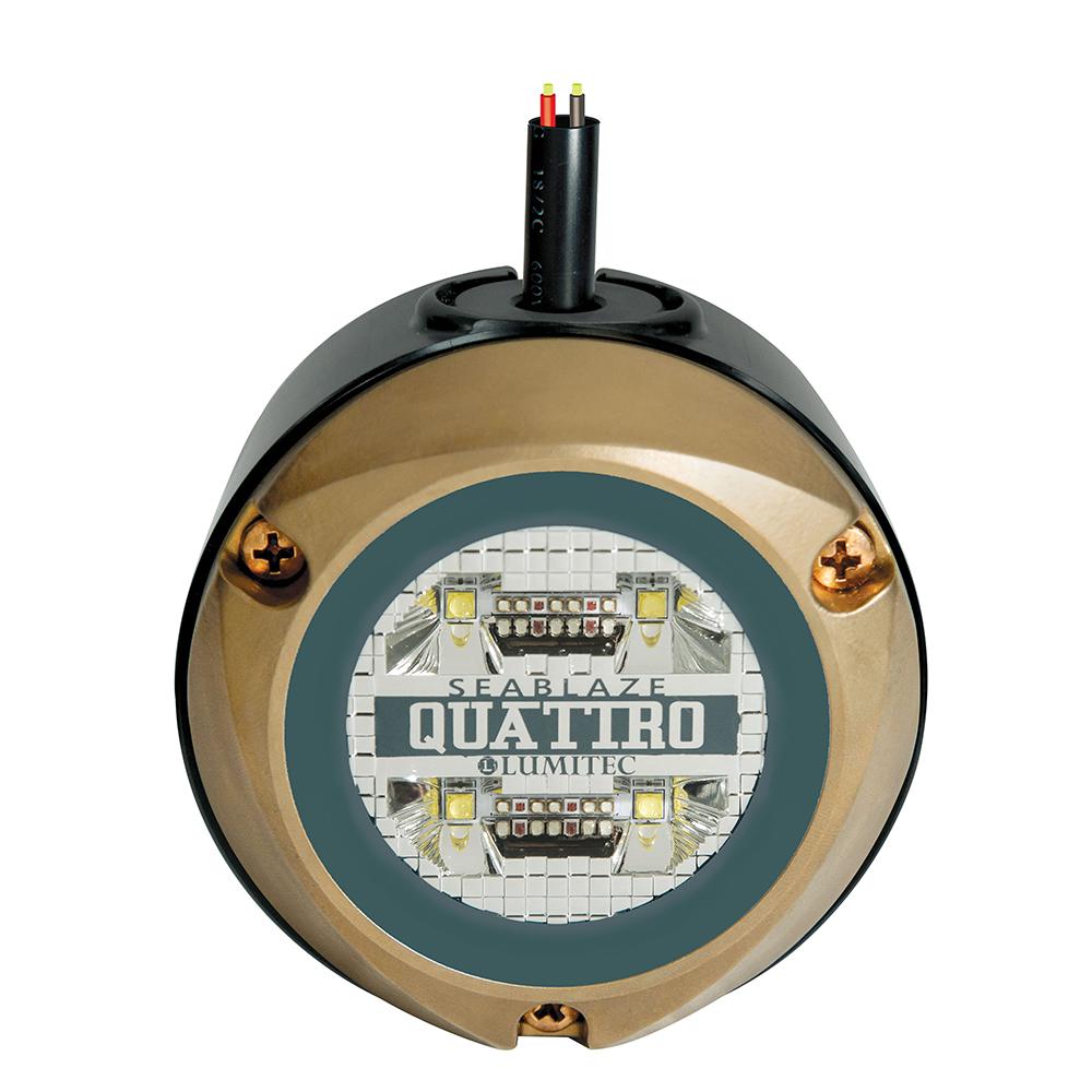 LUMITEC 101526 MANTIS UNDERWATER DOCK LIGHT ADD ON LIGHT - The Twister Group Tools product