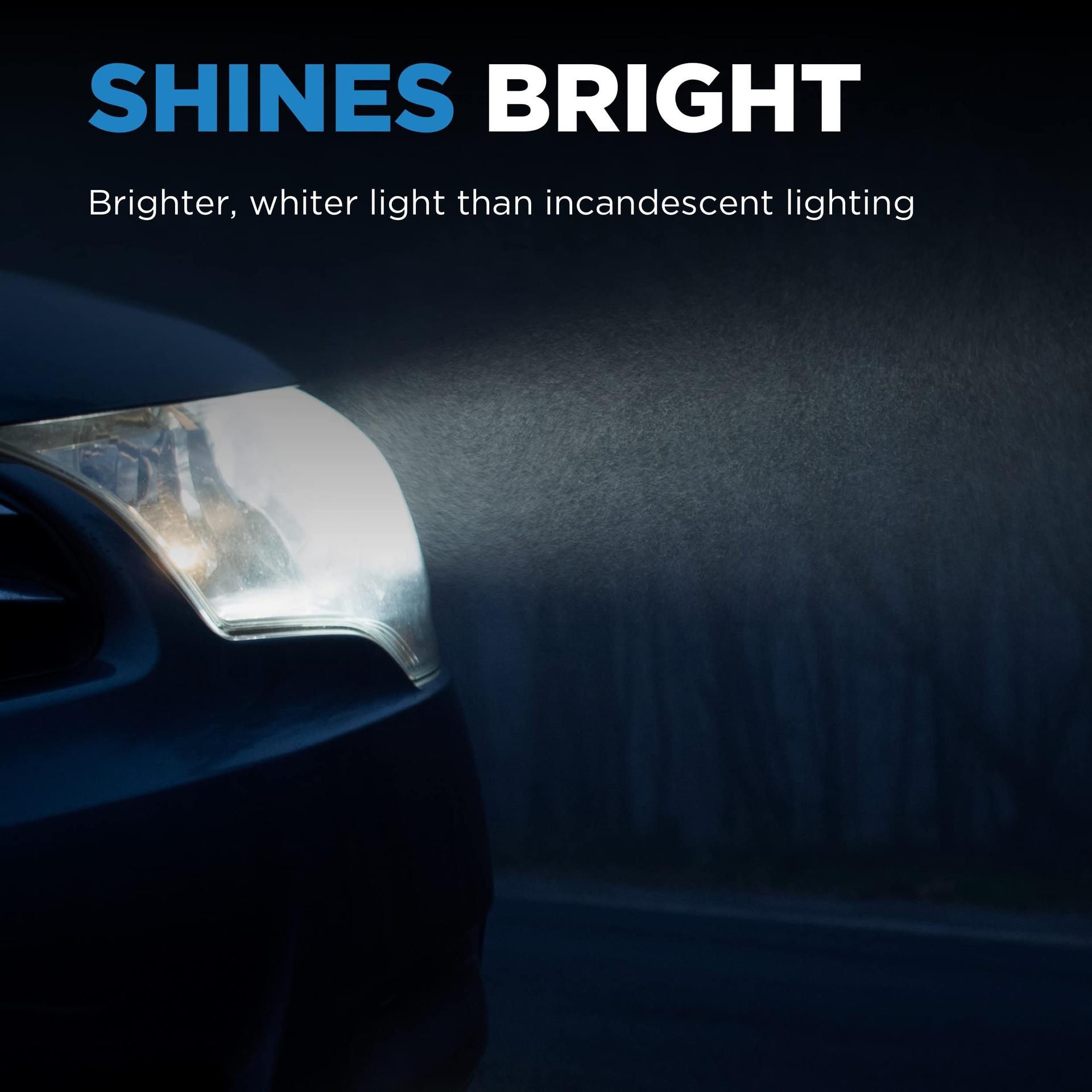 WAGNER 1255/H11B Light Bulb - Multi-Purpose - High quality product image showing WAGNER 1255/H11B Light Bulb - Multi-Purpose details and features WAGNER 1255/H11B Light Bulb - Multi-Purpose - High quality product image showing WAGNER 1255/H11B Light Bulb - Multi-Purpose details and features