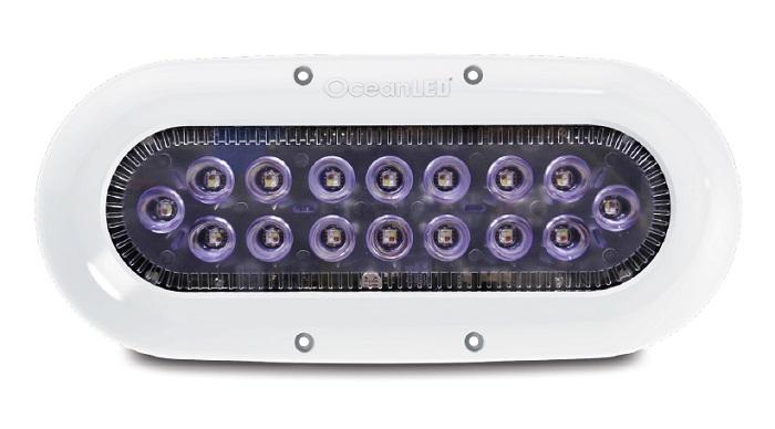 OCEANLED 012311C X16 X-Series Color Changing LED - High quality product image showing OCEANLED 012311C X16 X-Series Color Changing LED details and features OCEANLED 012311C X16 X-Series Color Changing LED - High quality product image showing OCEANLED 012311C X16 X-Series Color Changing LED details and features